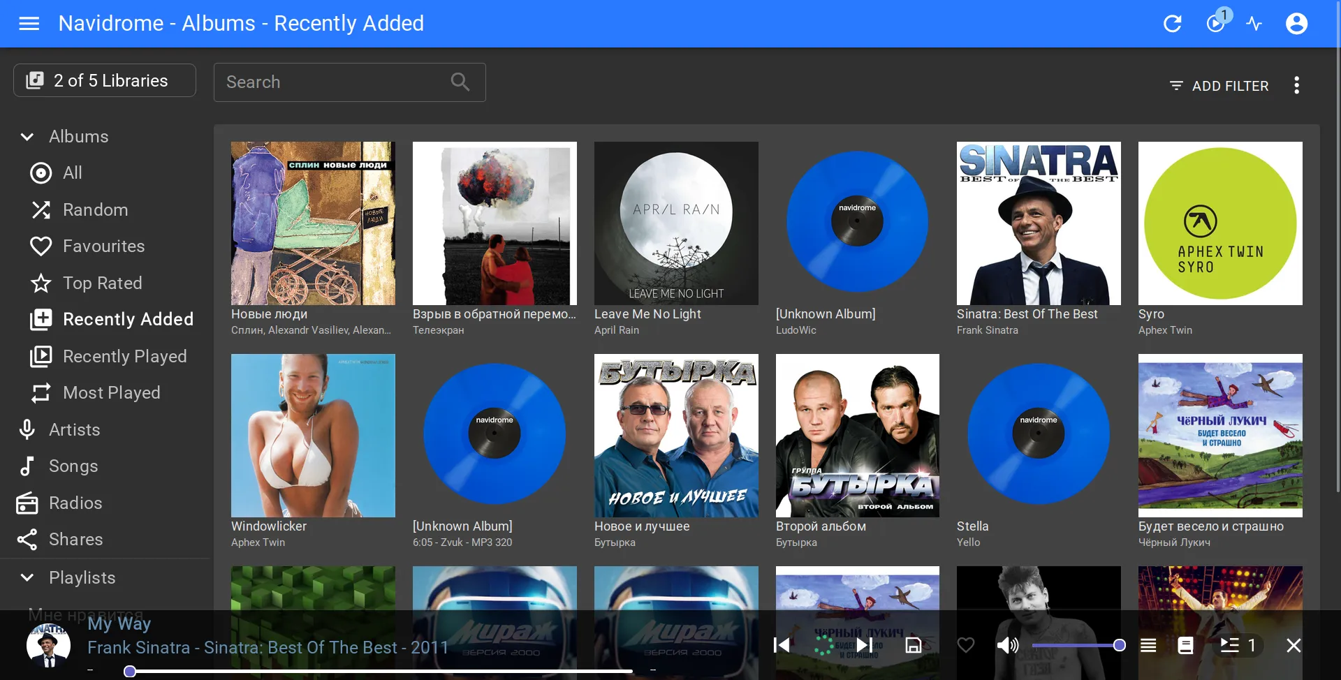 The Navidrome web player with music from your personal library and the shared library.