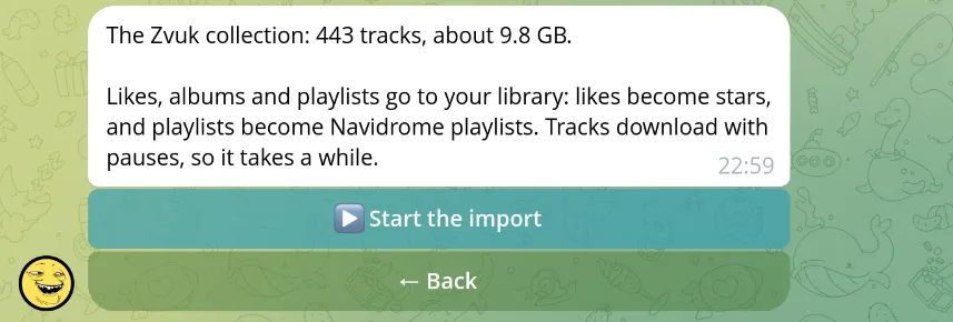 The plan of a Zvuk import with the number of tracks, their size, and the Start the import button.